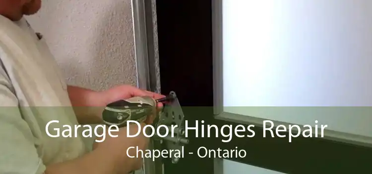 Garage Door Hinges Repair Chaperal - Ontario