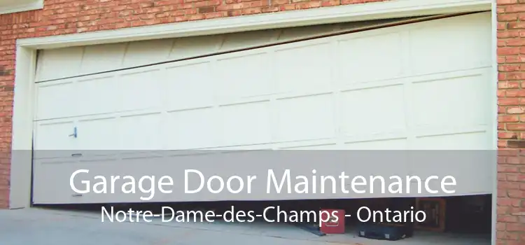 Garage Door Maintenance Notre-Dame-des-Champs - Ontario
