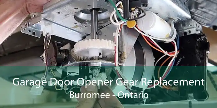 Garage Door Opener Gear Replacement Burromee - Ontario