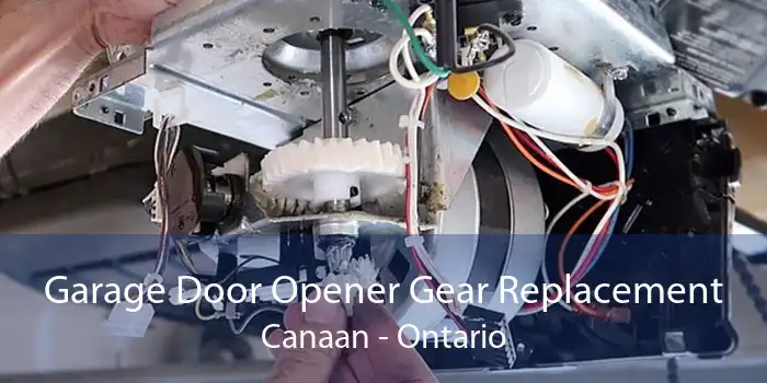 Garage Door Opener Gear Replacement Canaan - Ontario