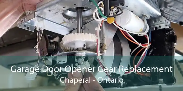 Garage Door Opener Gear Replacement Chaperal - Ontario
