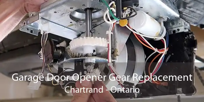 Garage Door Opener Gear Replacement Chartrand - Ontario