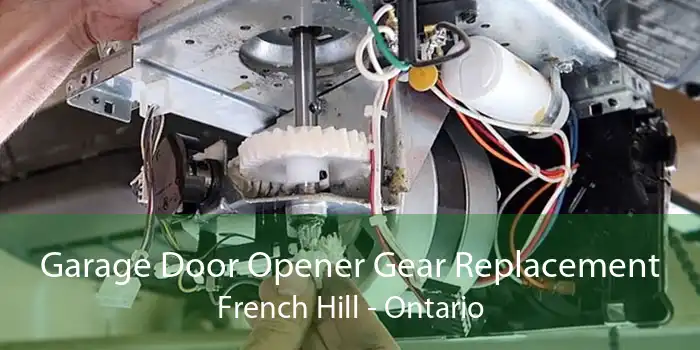 Garage Door Opener Gear Replacement French Hill - Ontario