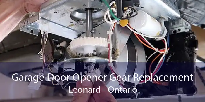 Garage Door Opener Gear Replacement Leonard - Ontario