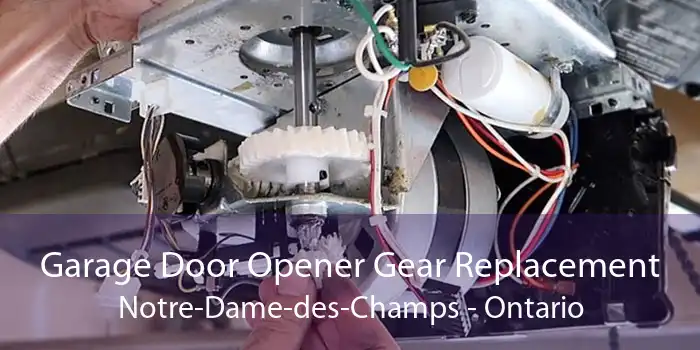Garage Door Opener Gear Replacement Notre-Dame-des-Champs - Ontario