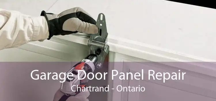 Garage Door Panel Repair Chartrand - Ontario