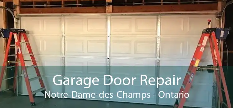 Garage Door Repair Notre-Dame-des-Champs - Ontario