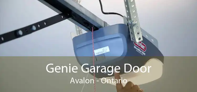 Genie Garage Door Avalon - Ontario