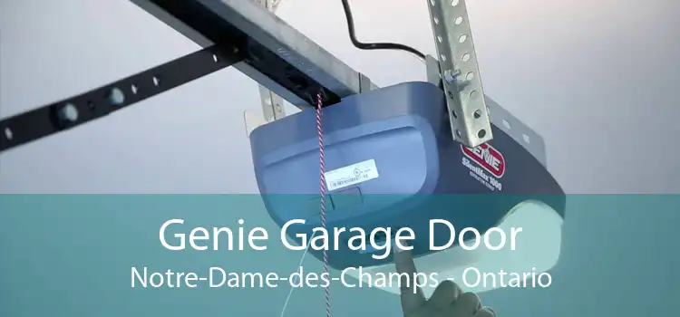 Genie Garage Door Notre-Dame-des-Champs - Ontario