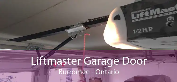 Liftmaster Garage Door Burromee - Ontario