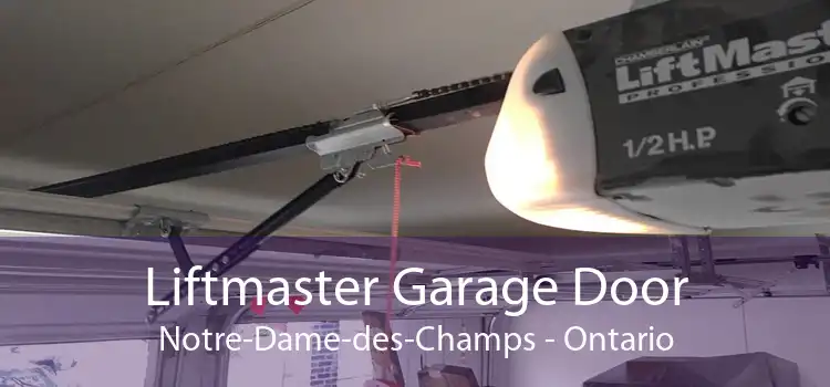 Liftmaster Garage Door Notre-Dame-des-Champs - Ontario