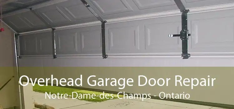 Overhead Garage Door Repair Notre-Dame-des-Champs - Ontario